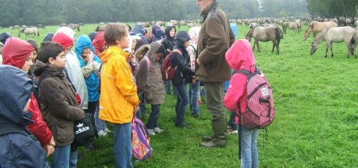 Klassenfahrt Reken 2010