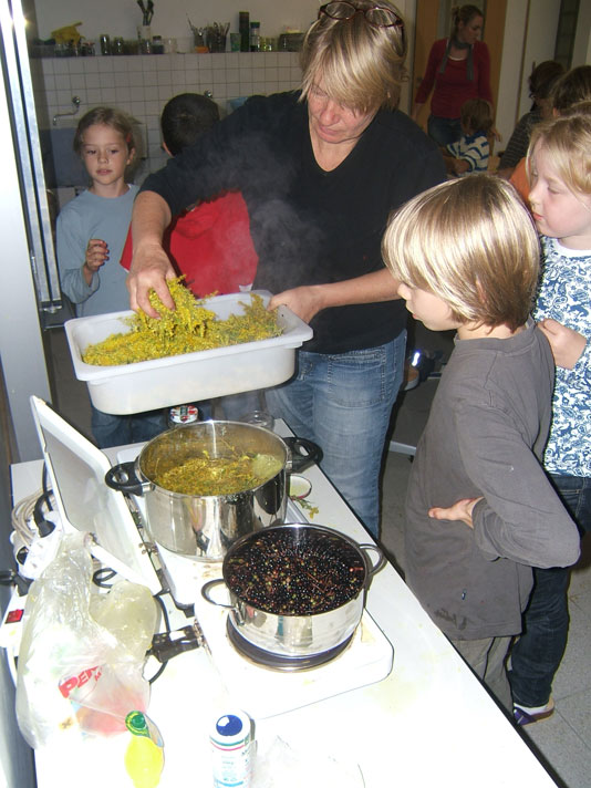 Farben von Pflanzen 2010