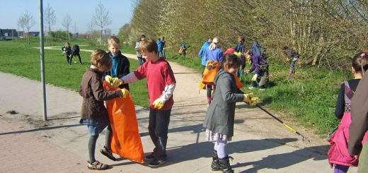 Umweltaktion 2011