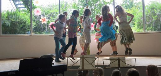 Midsommarfest 2013 - 4