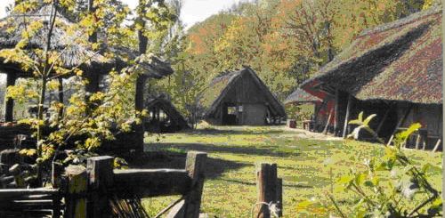 Sachsenhof 2014 - Hendrik