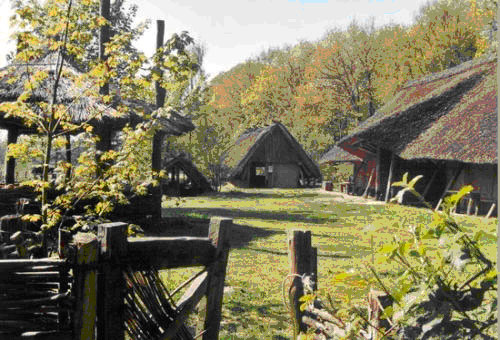 Sachsenhof 2014 - Hendrik