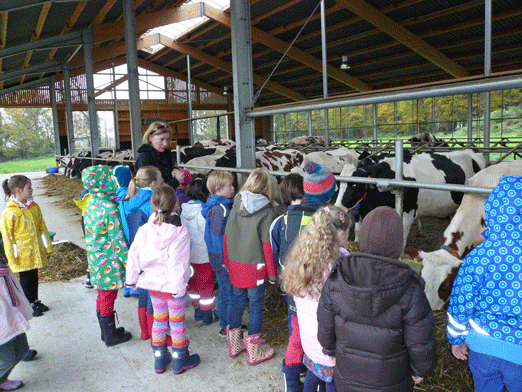 Bauernhof 2014 - 2 Wie 0