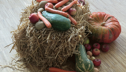 Herbstfest 2015 - vorbereit2