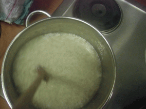 OG Experiment 2015 mit Milch - ausflocken