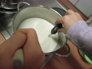 OG Experiment 2015 mit Milch - erwärmen