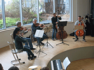 Streicher 2015 - Pizzikato_1
