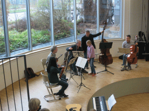 Streicher 2015 - Pizzikato_2