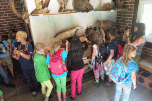 Klassenfahrt 2015 - Frankenhof_waldschule2