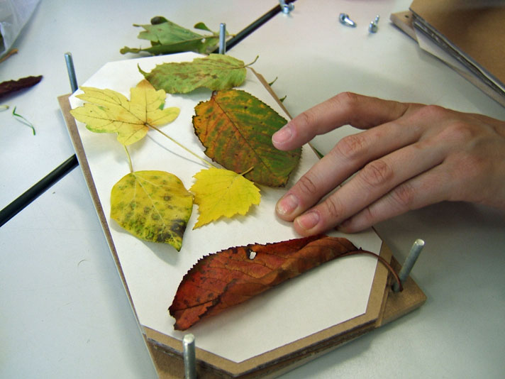 Herbstaktion 2011 im OG