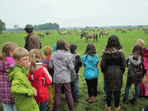 Klassenfahrt-2012-Wildpferde