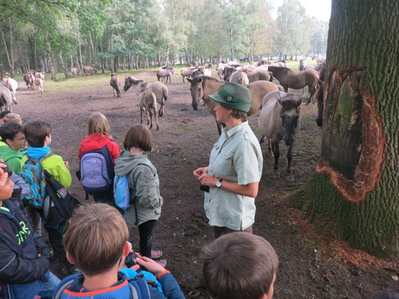 Klassenfahrt Reken 2017