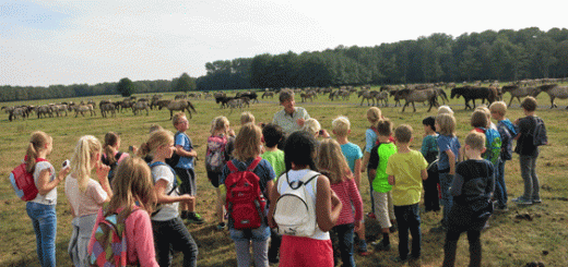 Klassenfahrt-Reken 2016