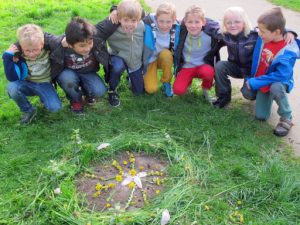 Frühlingsprojekt 2014 - Landart_2