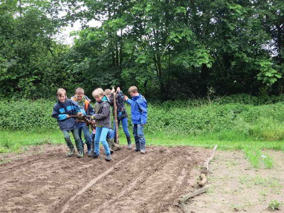 Sachsenhof 2014 - Bild_14