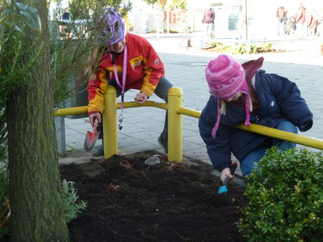 Pflanzaktion Herbst 2011
