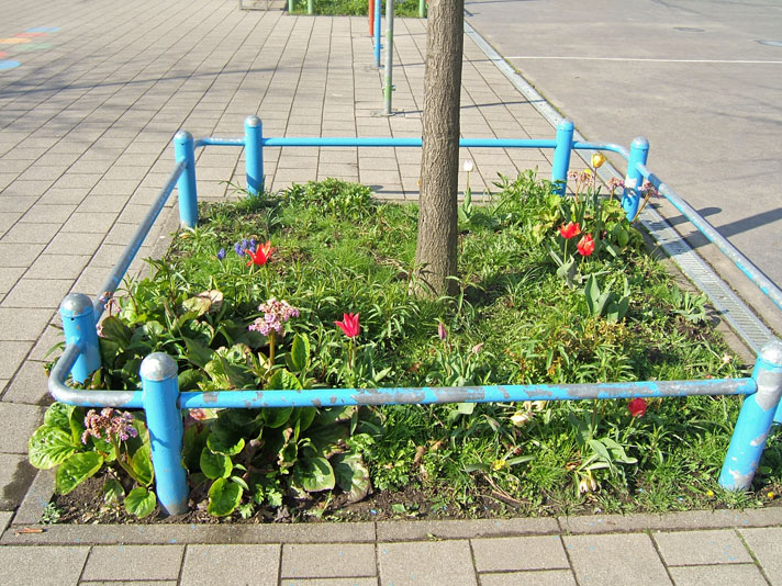 Schulhofbeet Frühjahr 2012