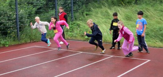 Trimmfest-2013-Sportplatz_sprint