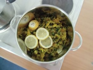 OG Experiment 2014 Löwenzahnhonig - 2a