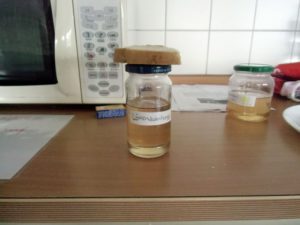 OG Experiment 2014 Löwenzahnhonig - 5